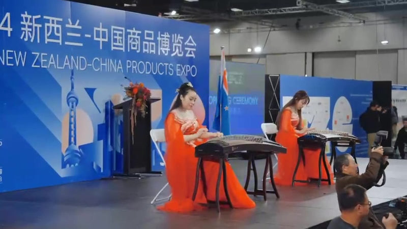 Live stage performance at the 2024 New Zealand–China Products Expo